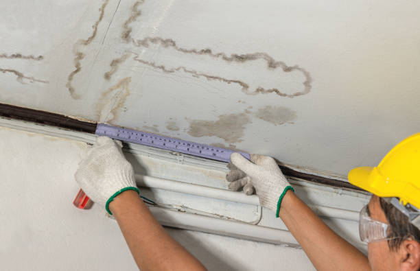 Reliable Mold Remediation contractor in Valley Springs, SD by Water Damage Irwin